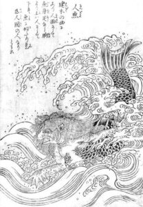 mermaid japanese mythology