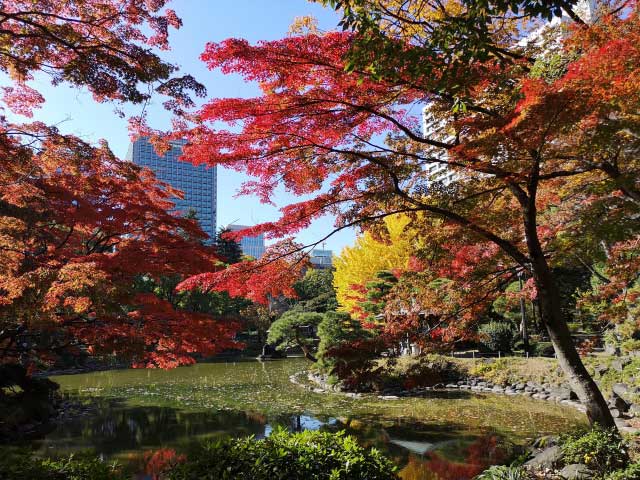 Hibiya Park during autumn