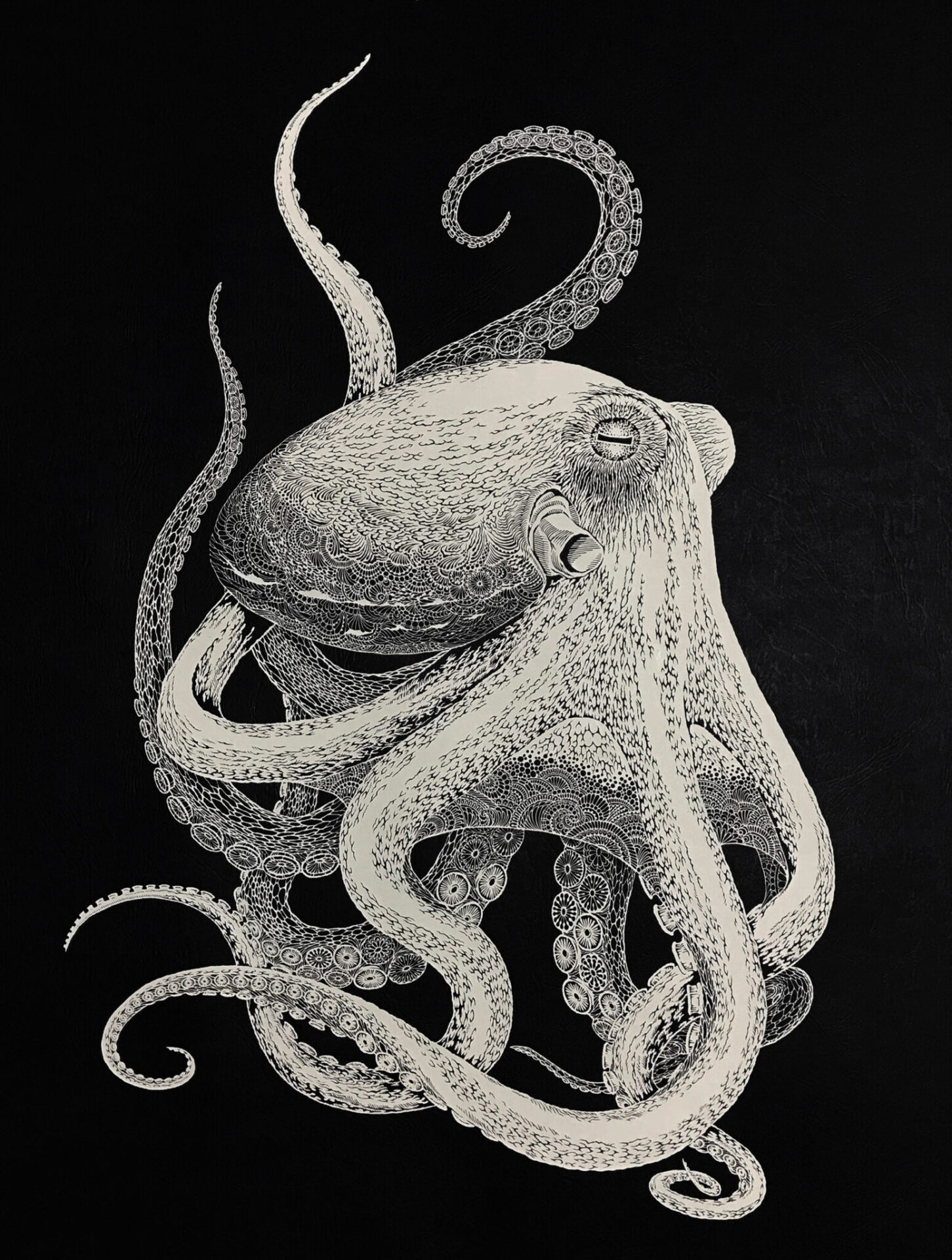 Japanese Artist Masayo paper cute octopus