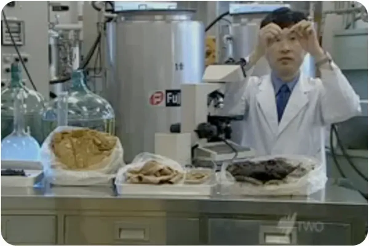 japanese scientist makes edible poop from meat
