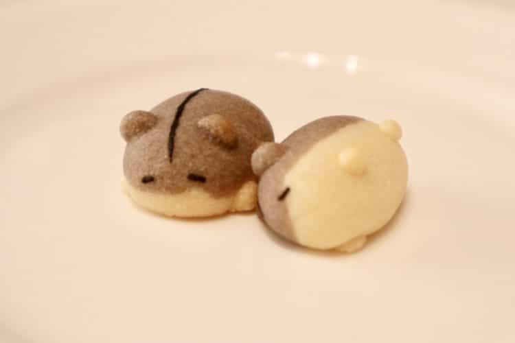 cute hamster adorable cookies 