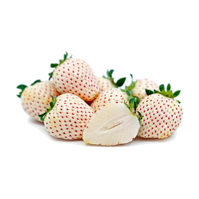Japanese expensive white strawberries