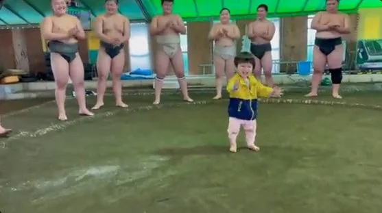 Sumo match with 16 year old toddler