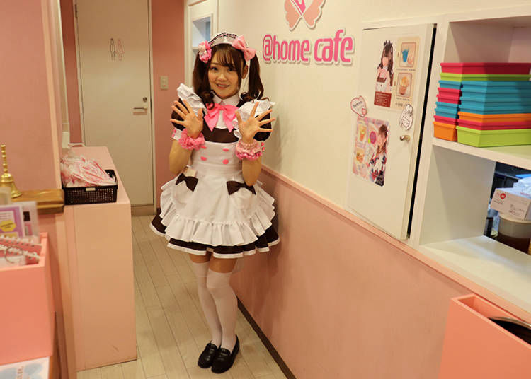Japanese maid cafe 