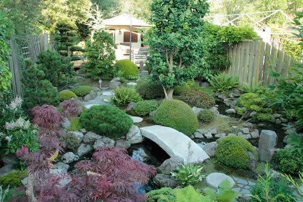 Best Japanese indoor plants for garden